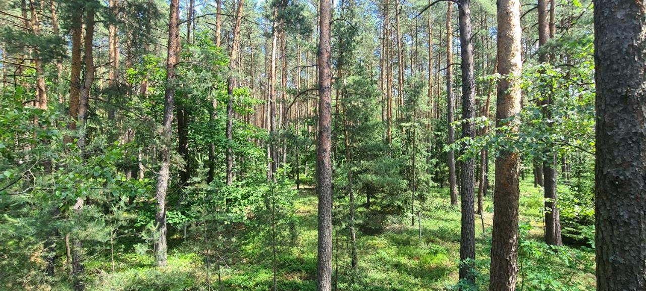 Domek Wilga Zewnętrze zdjęcie